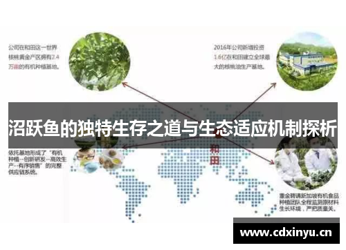 沼跃鱼的独特生存之道与生态适应机制探析
